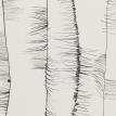 lucinda- detail